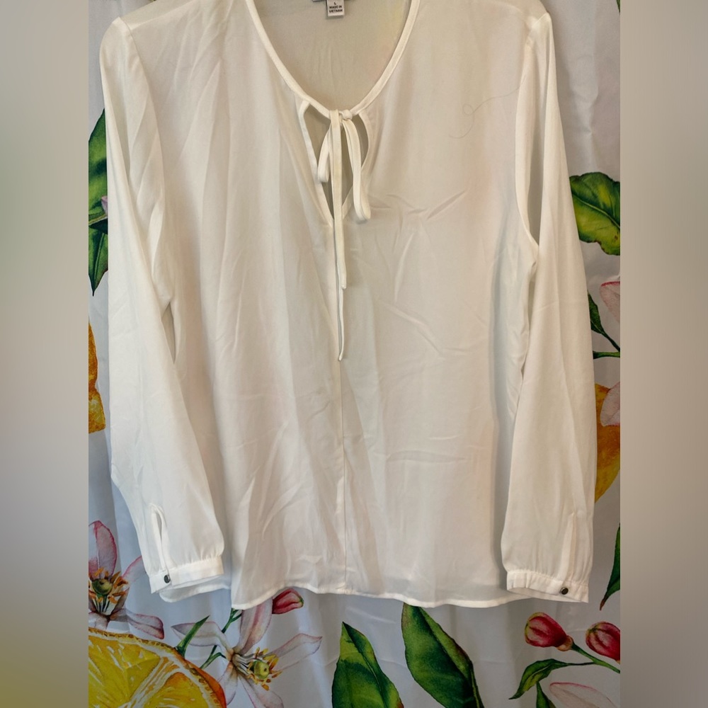 Beautiful Counterparts Cream sheer Blouse sz Large long sleeves Ribbon neck look
